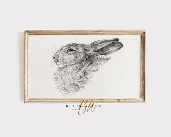 Bunny Rabbit Head Pencil Sketch Vintage Drawing Neutral Animal Art Poster