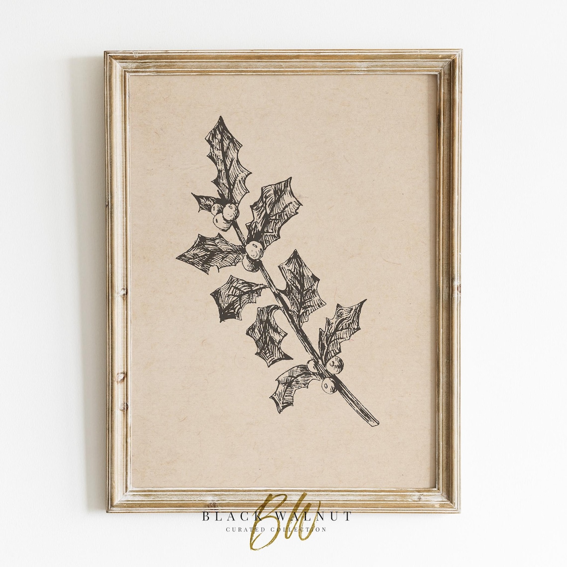 Winter Botanical Holly Minimalist Sketch Art Print