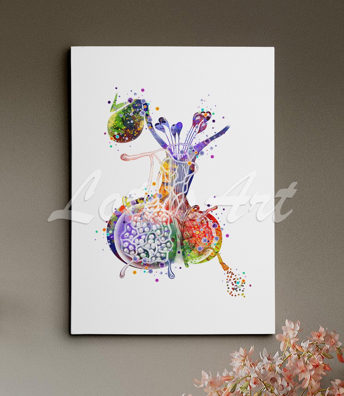Pituitary Gland Anatomy Colorful Watercolor Medical Art Poster