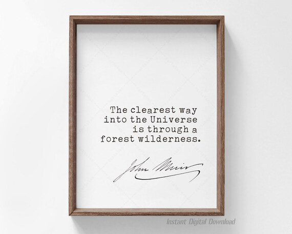 John Muir The Clearest Way Into The Universe Forest Quote Poster
