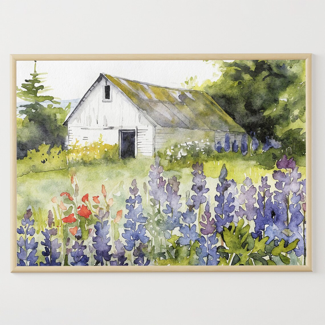 Bluebonnets Field and White Barn Watercolor Art Print