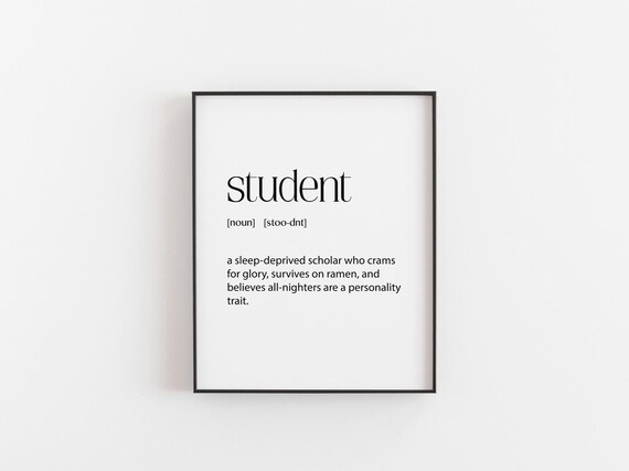 Student Funny Definition College Dorm Room Gift Quote Poster