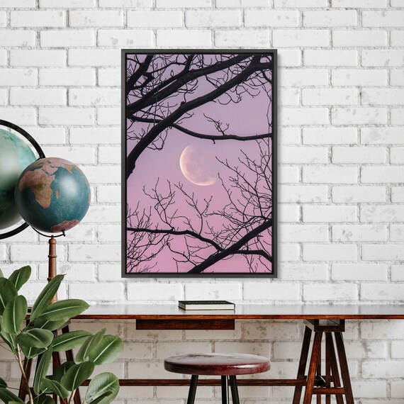 Crescent Moon Through Bare Branches Pink Twilight Sky Poster