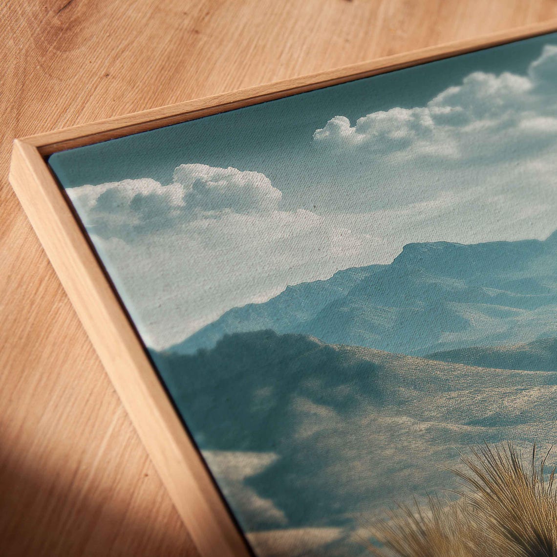 Blue Agave Close Up In Mountain Valley Under Daylight Sky Poster - Image 2