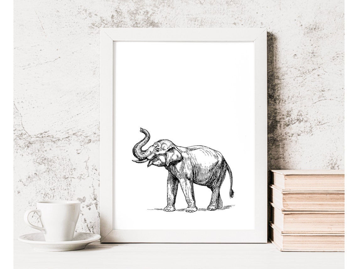 Elephant Sketch Black and White Safari Animal Ink Drawing Wall Print - Image 4