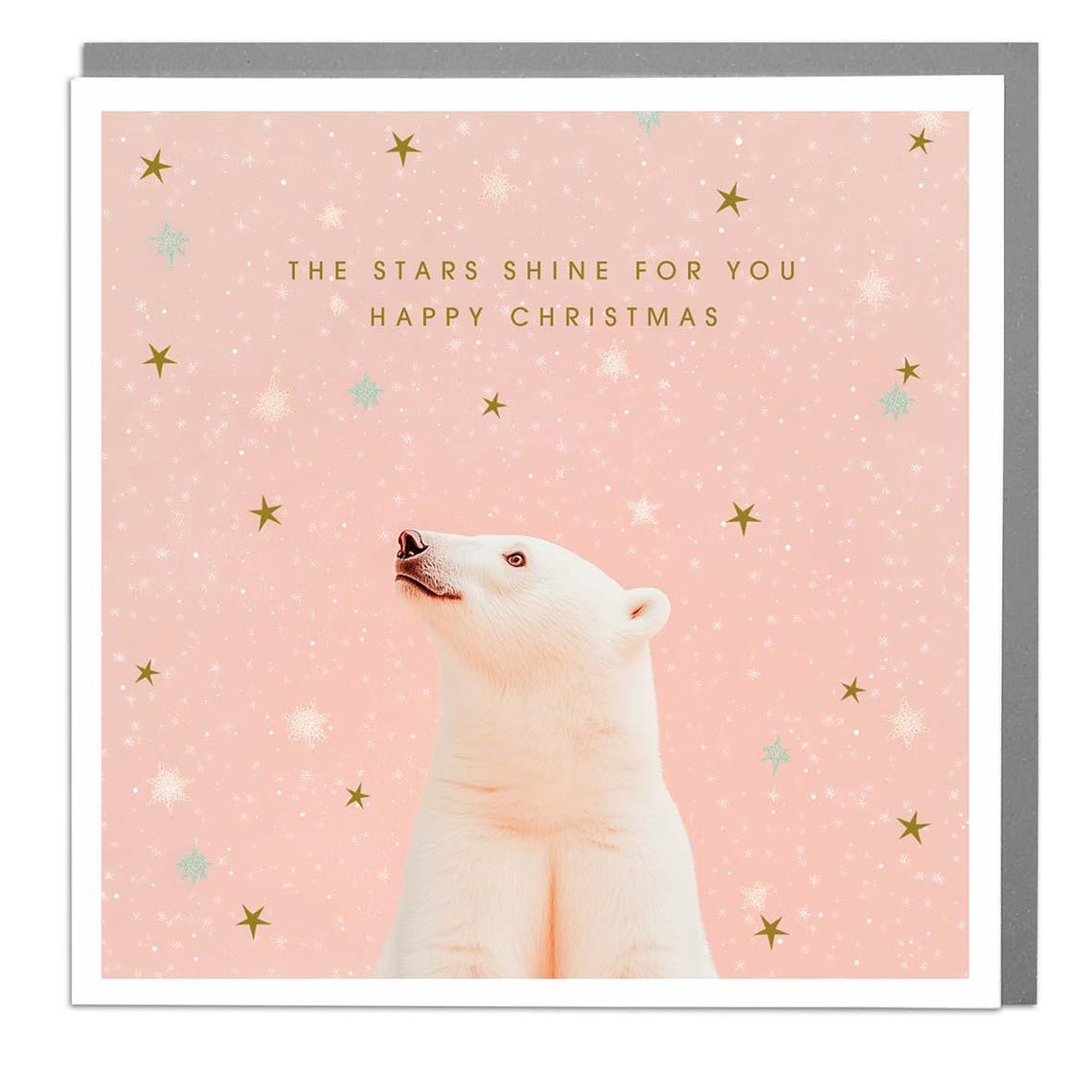 Polar Bear Stars Shine Happy Christmas Greeting Card Wall Art