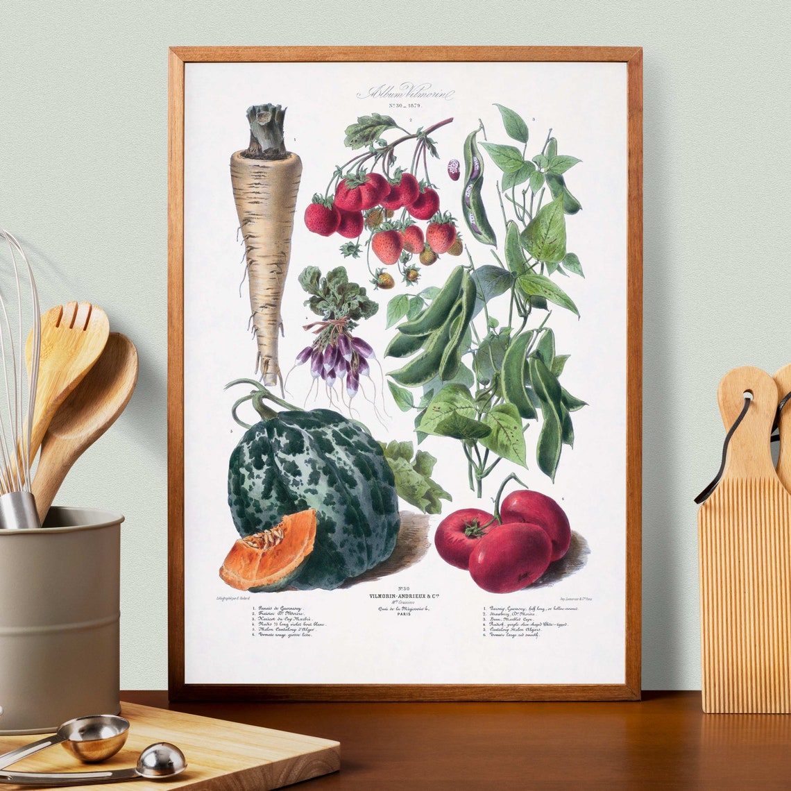 Vegetables Vintage Botanical Illustration Vilmorin Paris Garden Poster - Image 3