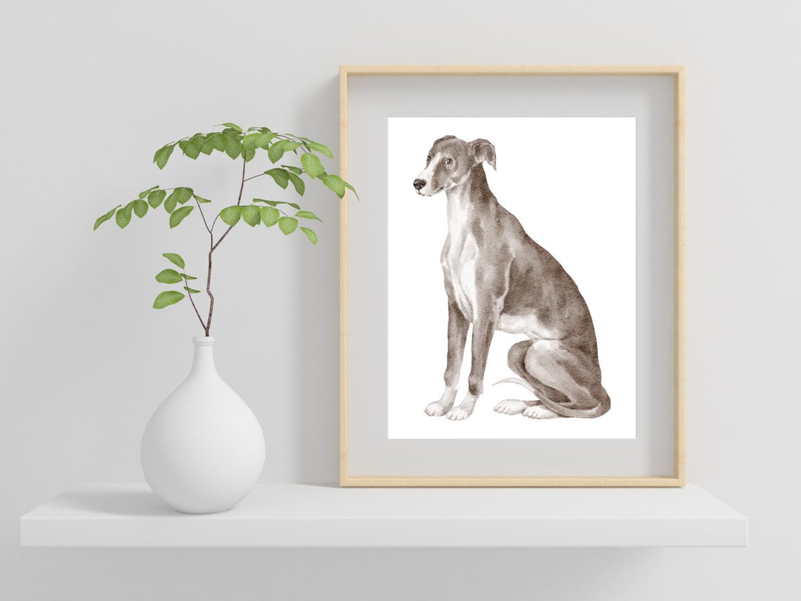Italian Greyhound Watercolor Elegant Sighthound Dog Portrait Poster - Image 2