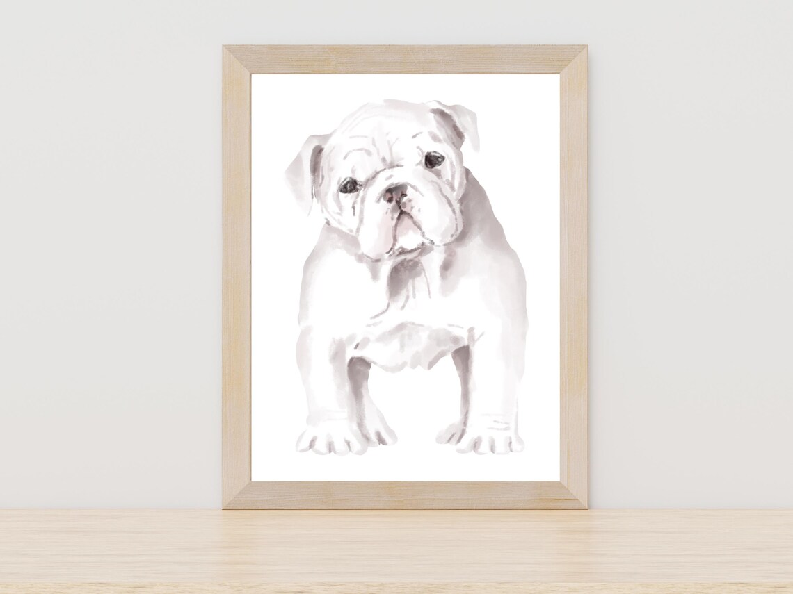 White English Bulldog Puppy Watercolor Sweet Dog Portrait Art Poster