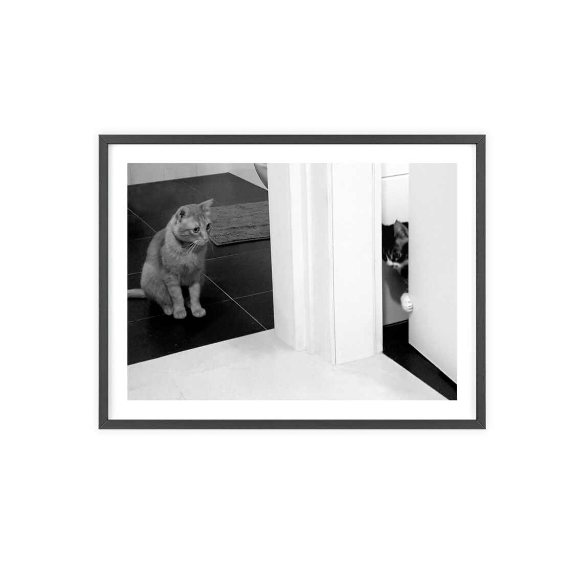 Cat Photograph, Funny Bathroom Wall Art Decor