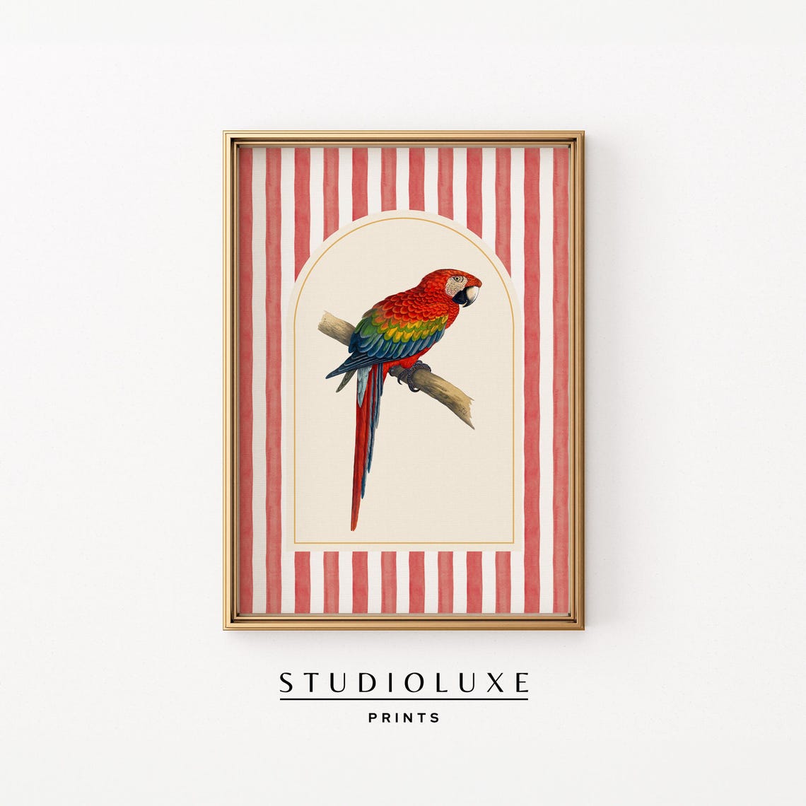 Scarlet Macaw Parrot Poster Red Striped Tropical Bird Illustration Art