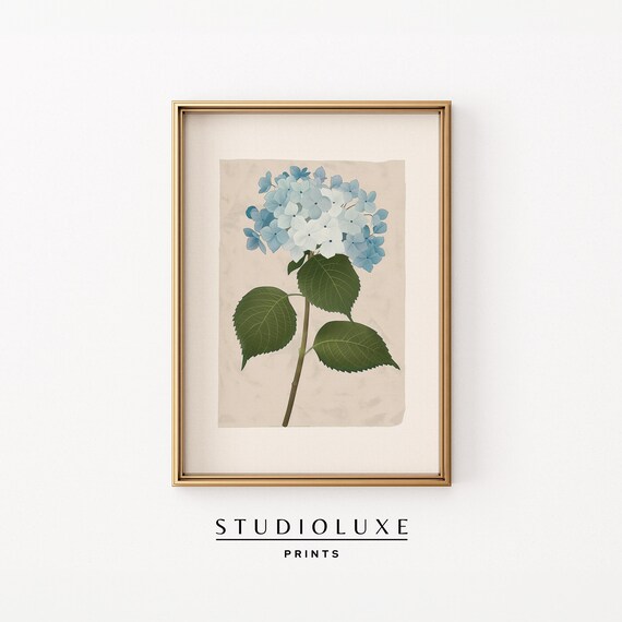Blue Hydrangea Stem Botanical Illustration Vintage Floral Poster