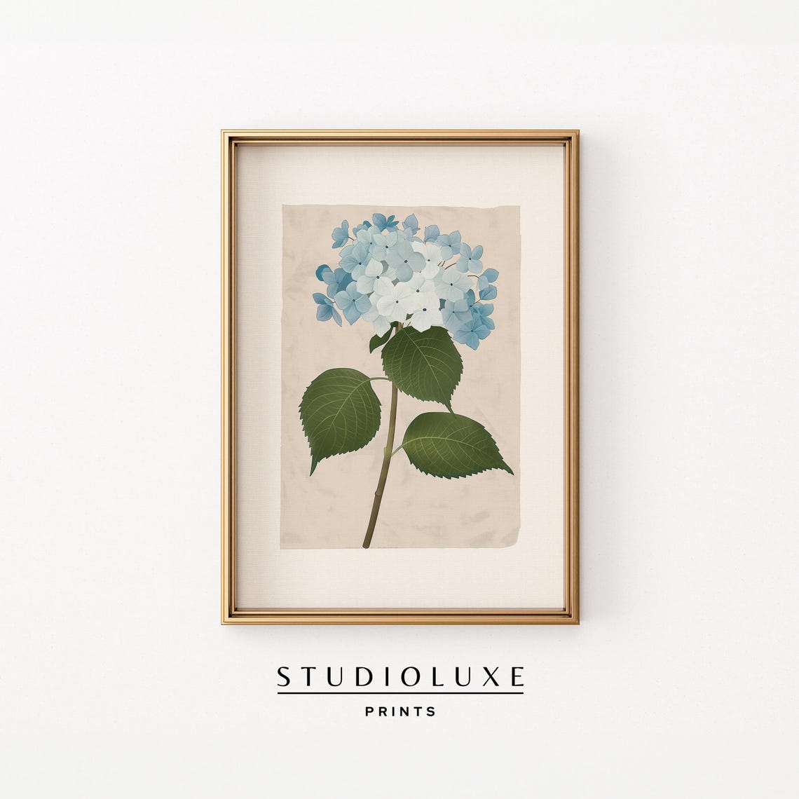Blue Hydrangea Stem Botanical Illustration Vintage Floral Poster