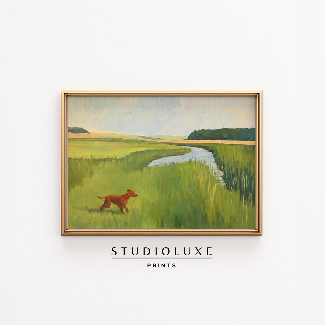 Red Hunting Dog Running Through Green Marsh Landscape Poster