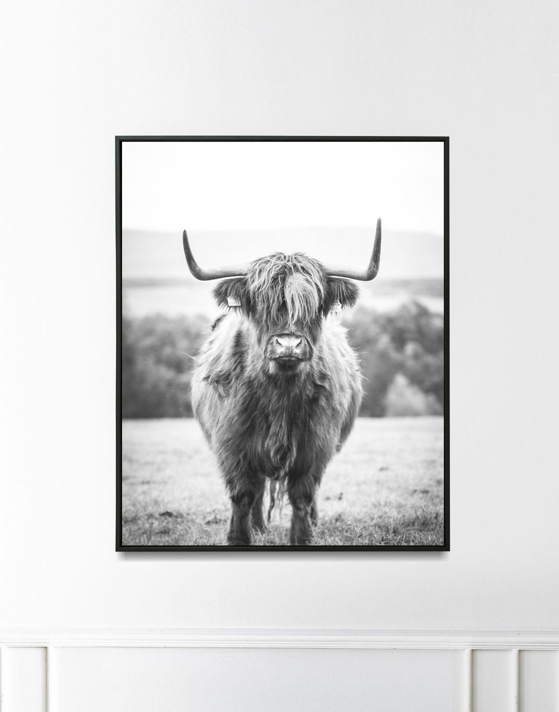 Highland Cow Portrait Black And White Farmhouse Animal Photo Print - Image 3