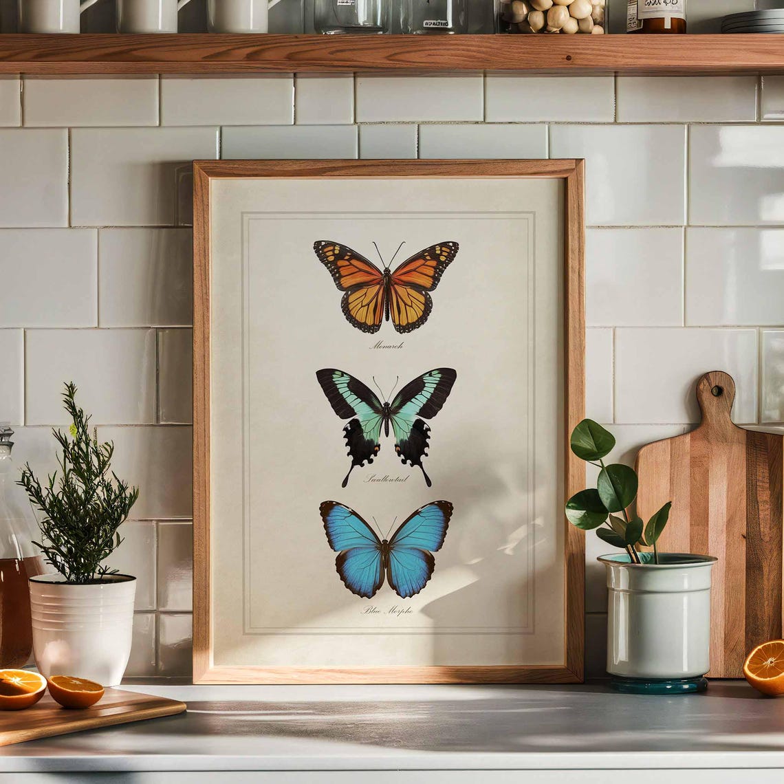 Vintage Butterfly Chart With Monarch and Blue Morpho Species Poster