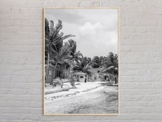 Belize Tropical Beach Palm Trees Black And White Photo Poster