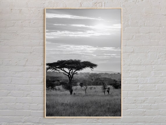 Black And White Africa Print Wall Art Poster Photo Decor World