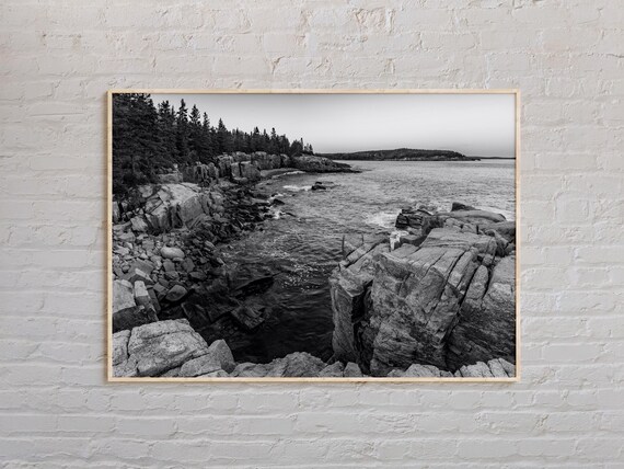 Acadia National Park Black And White Rocky Coast Waves Photo Poster
