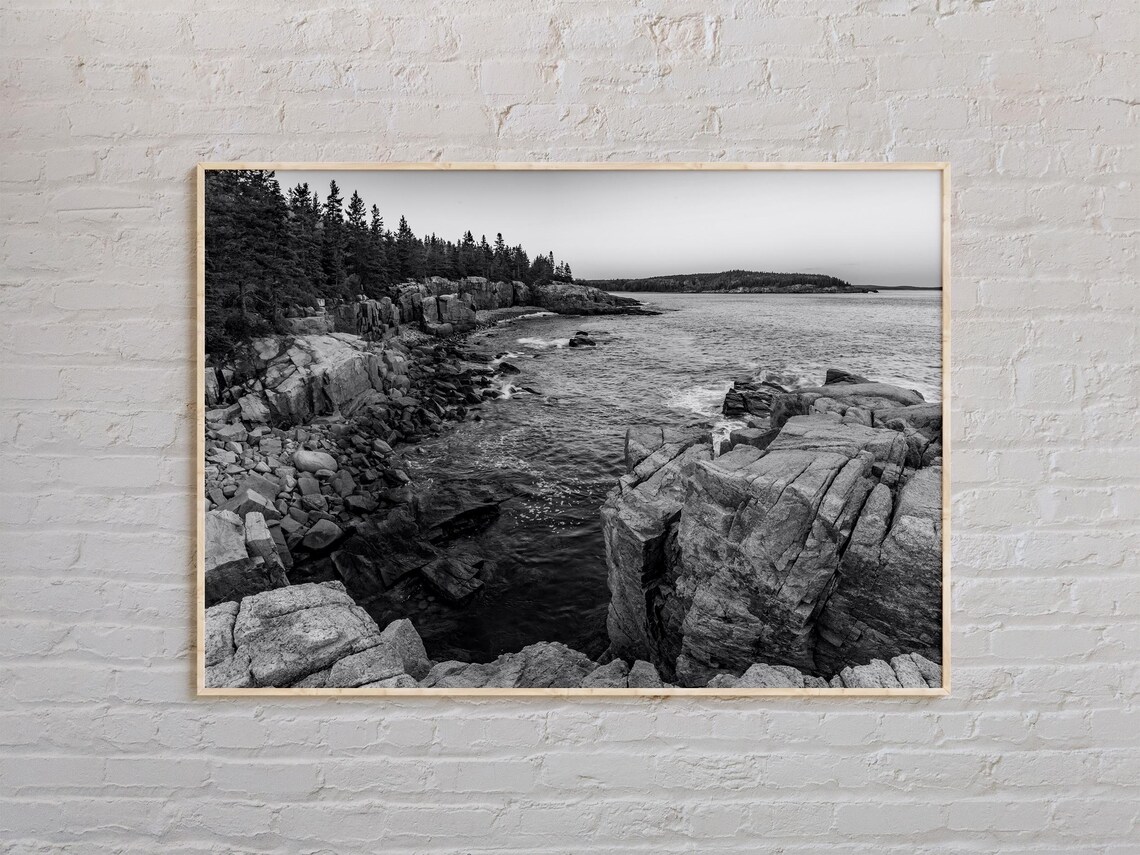 Acadia National Park Black And White Rocky Coast Waves Photo Poster