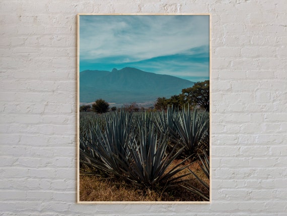 Real Photo Jalisco Print Jalisco Wall Art Jalisco Poster Jalisco Photo Jalisco Poster Print Jalisco Wall Decor Mexico Poster