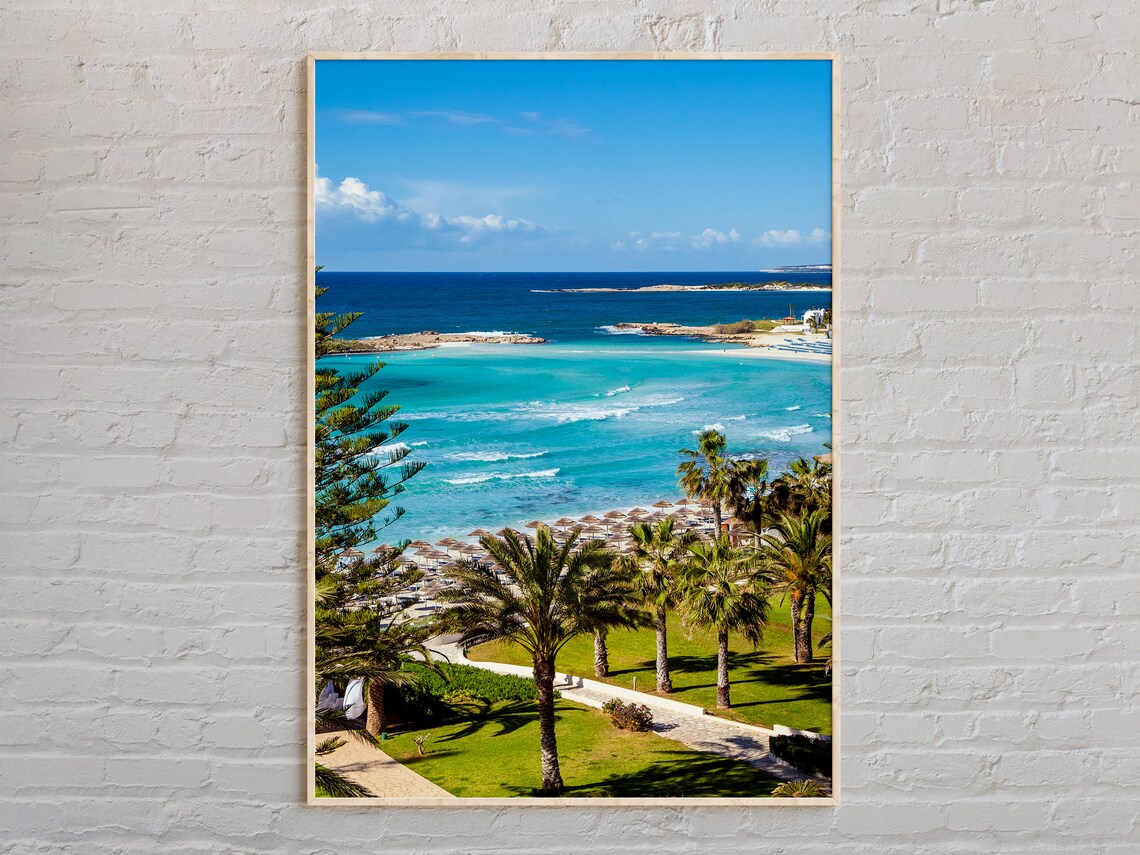 Cyprus Turquoise Beach Palm Trees Aerial Real Photo Wall Art