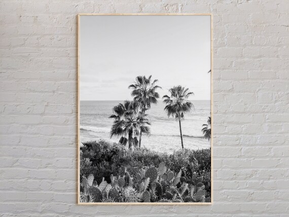 Black And White Palm Trees Ocean View Coastal Scene Photo Poster