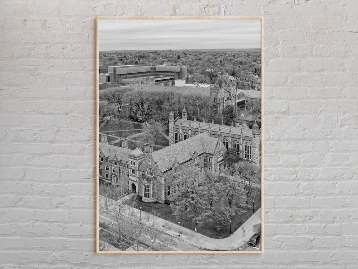 Black And White Gothic University Campus Aerial Photo Art Print