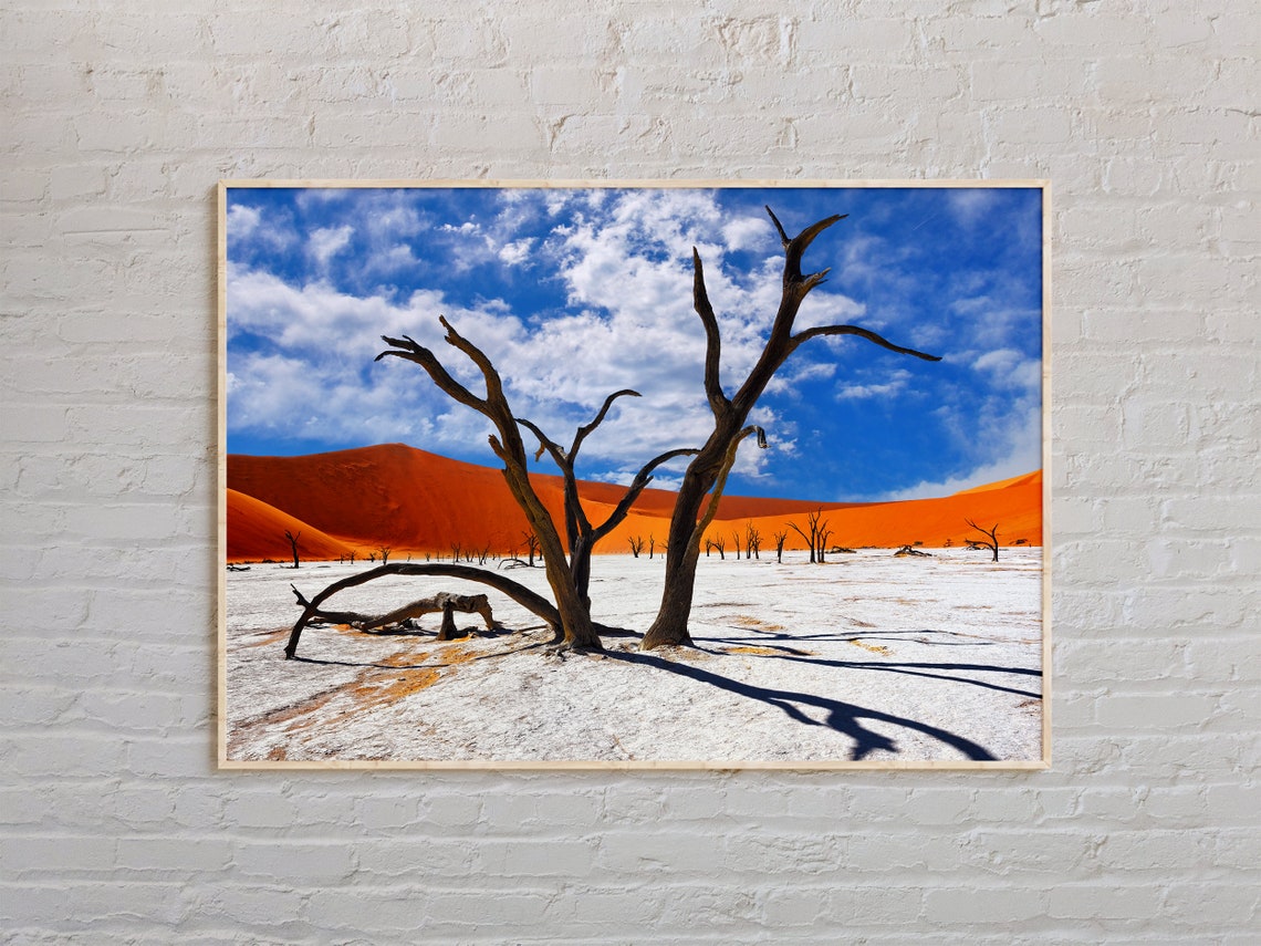 Namibia Deadvlei Dead Trees Red Dunes White Clay Pan Desert Poster