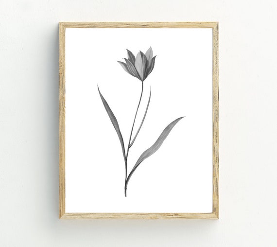 Black And White Tulip Print, Farmhouse Floral Art