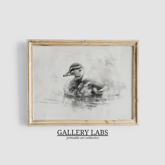 Vintage Duckling Pencil Sketch Waterfowl Neutral Nursery Wall Art Print
