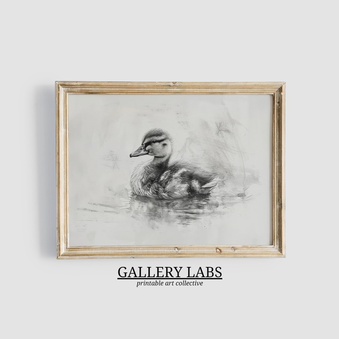 Vintage Duckling Pencil Sketch Waterfowl Neutral Nursery Wall Art Print