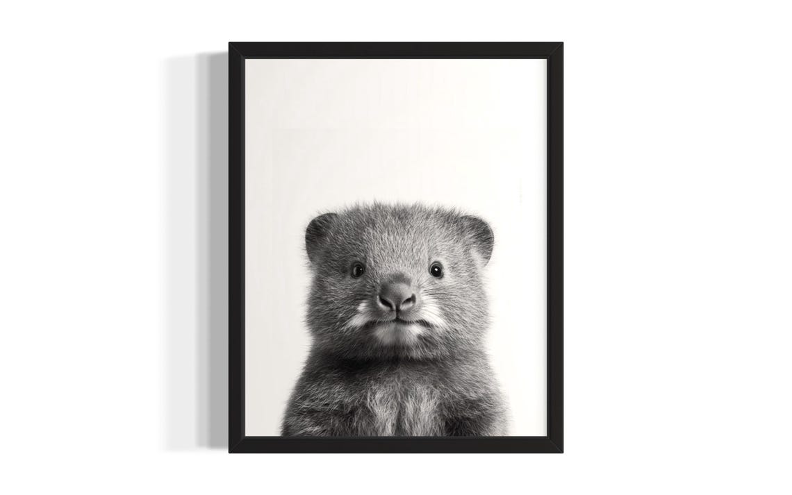 Baby Wombat Black and White Portrait Cute Animal Nursery Wall Art