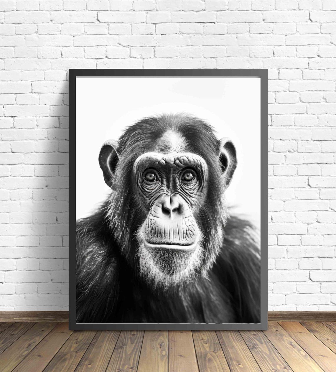Soulful Chimpanzee Face Portrait in Black and White Art Poster - Image 2