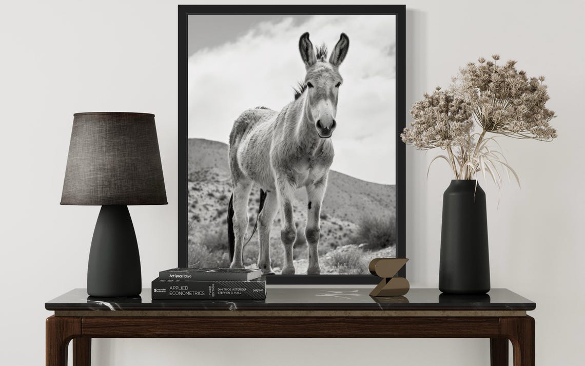 Wild Mule In Rocky Desert Landscape Black And White Photo Poster - Image 2