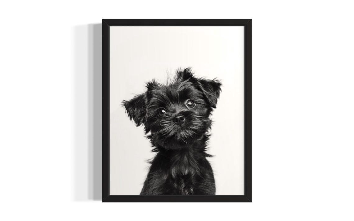 Scruffy Black Puppy Portrait Minimalist Nursery Animal Wall Art