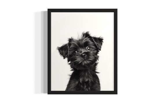 Scruffy Black Puppy Portrait Minimalist Nursery Animal Wall Art