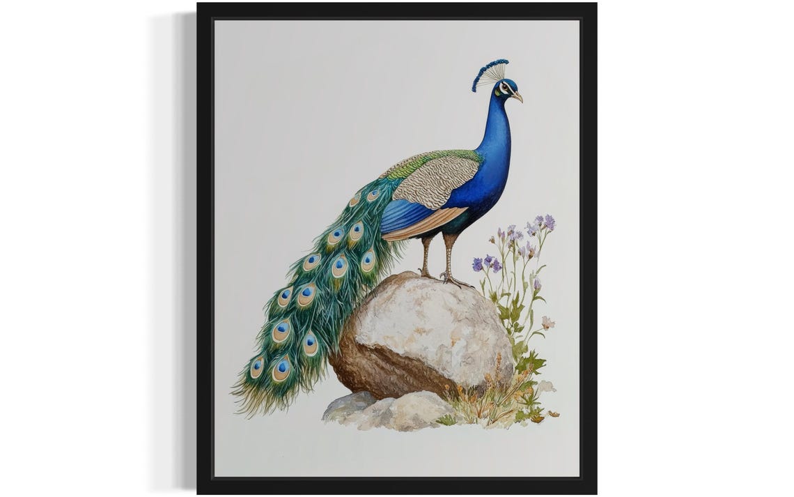 Indian Peacock Standing Tall on a Boulder Watercolor Bird Poster