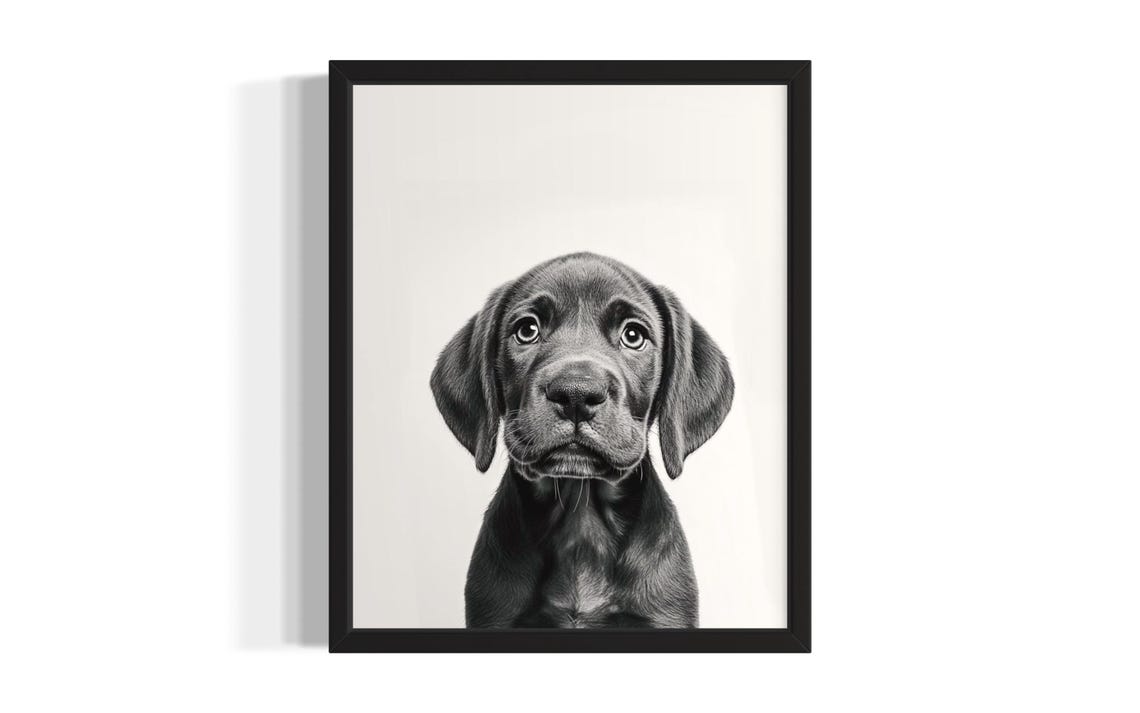 Black And White Chocolate Brown Puppy Studio Portrait Pet Poster