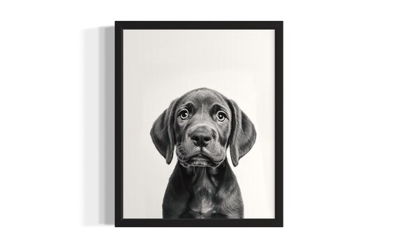 Black And White Chocolate Brown Puppy Studio Portrait Pet Poster