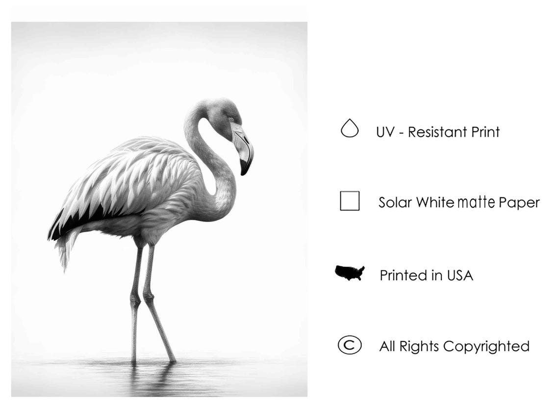 Flamingo Black and White Elegant Standing Bird Monochrome Art Poster - Image 3