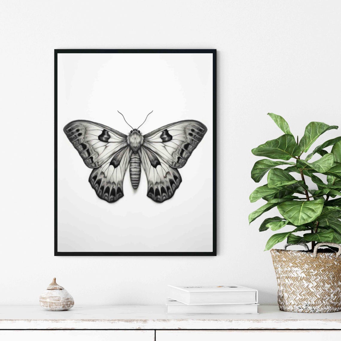 Detailed Moth with Spread Wings Black and White Pencil Sketch Poster - Image 3