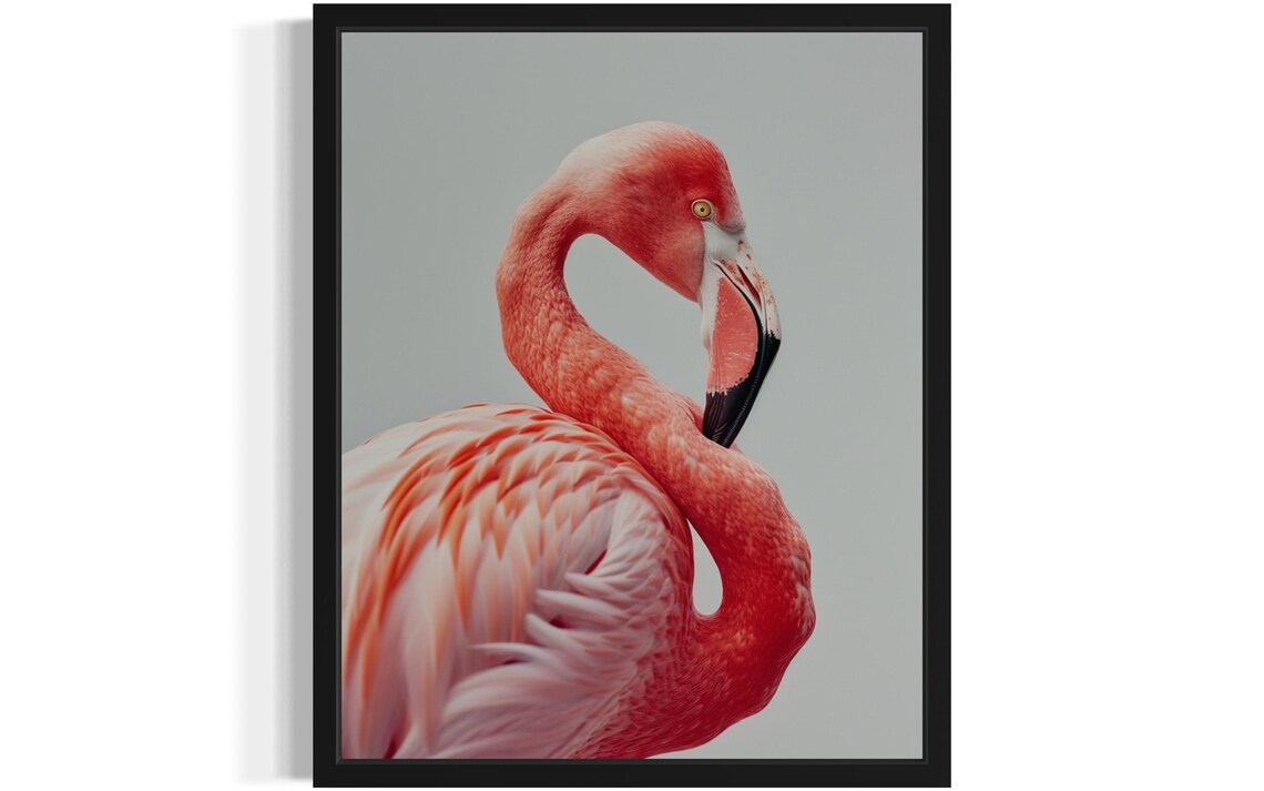 Elegant Pink Flamingo Neck Curve Minimalist Wildlife Photo Poster