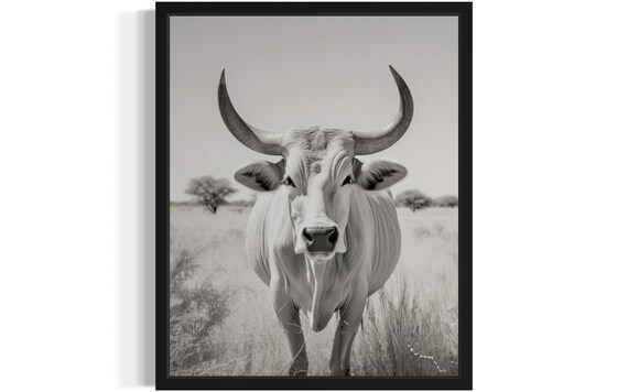Zebu Cattle Black and White Wildlife Photography Safari Art Poster