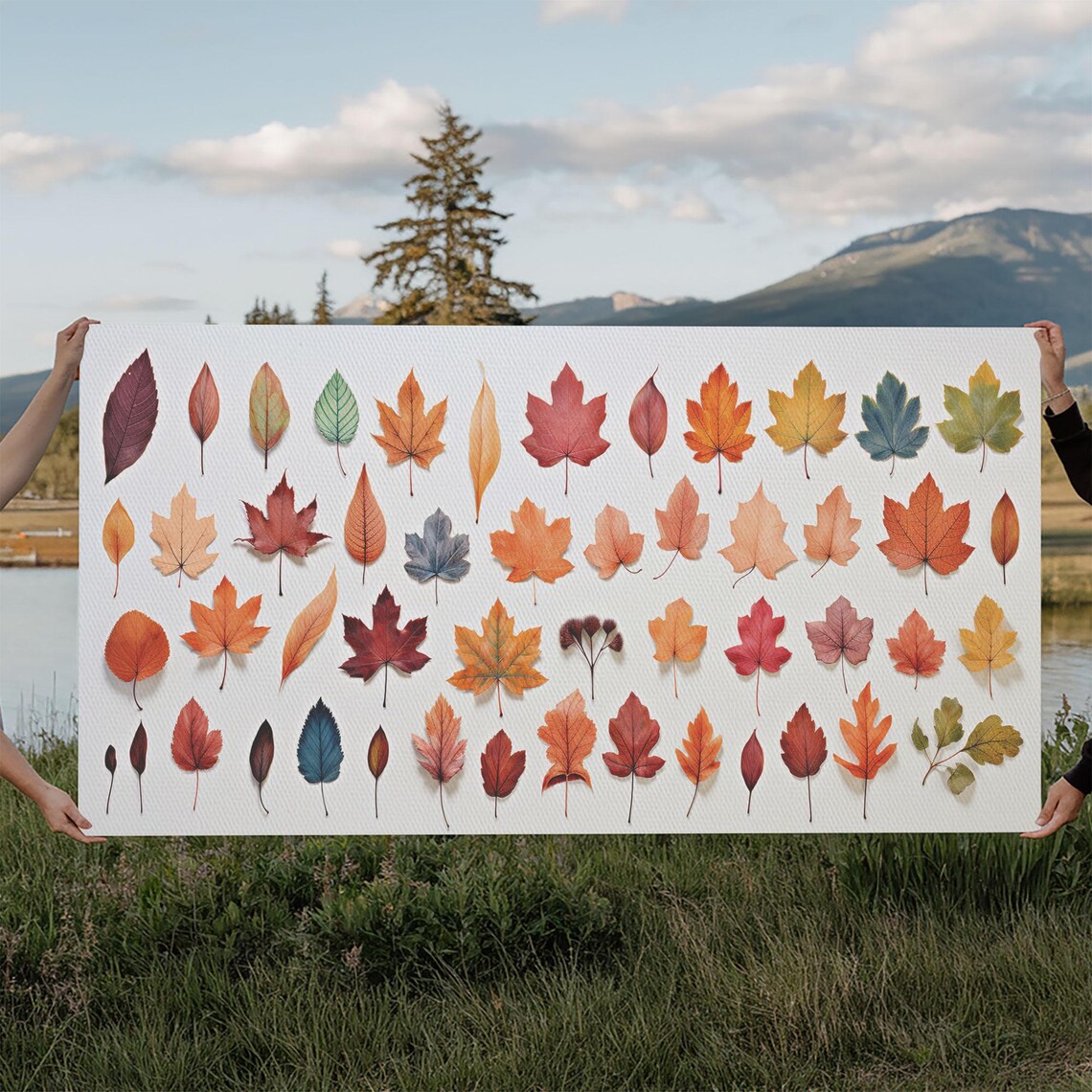 Fall Leaves Study, Autumn Seasonal Decor