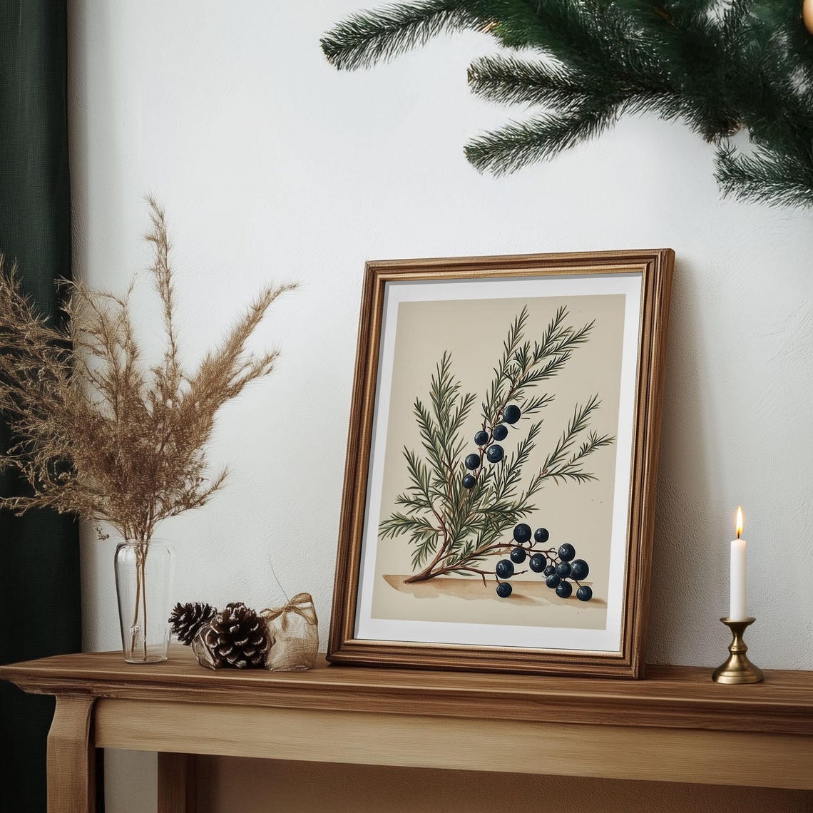 Juniper Twig with Berries Vintage Botanical Illustration Poster - Image 6