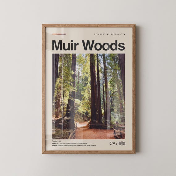Muir Woods Print Wall Art Poster Photo National Monument Cathedral Grove