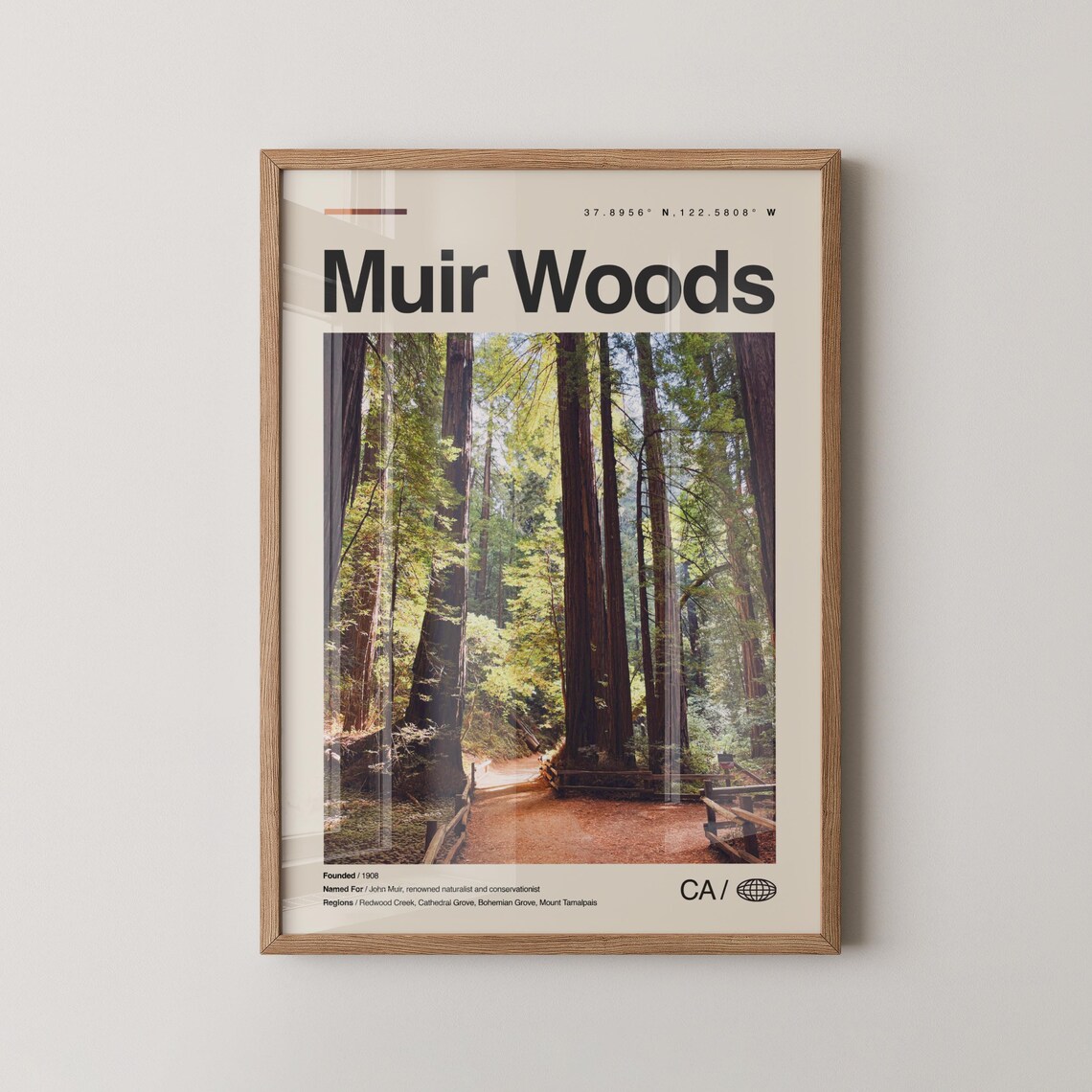 Muir Woods California Redwood Forest Minimalist Travel Poster