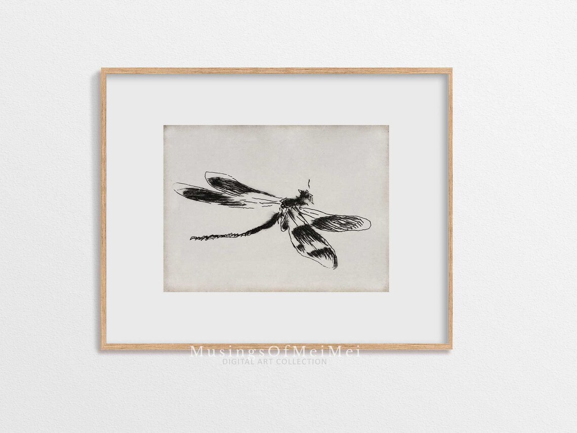 Vintage Sketch Abstract Dragon Fly, Antique Drawings