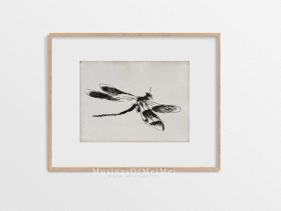Vintage Sketch Abstract Dragon Fly, Antique Drawings